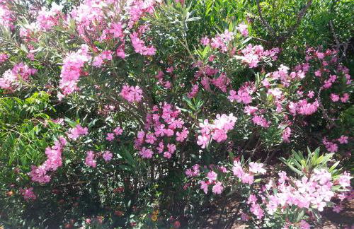 Casa Esperanca - Foto 33