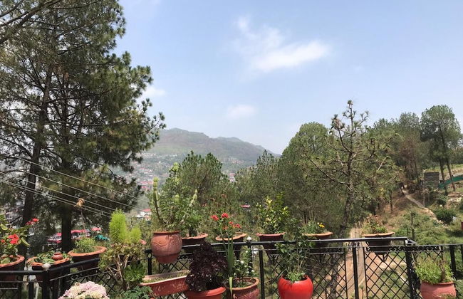 Cozy Solan Apartment With Stunning Views - Foto 20