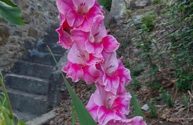 Country Residence Turicchi - Foto 7