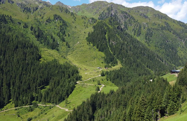 Simonhütte - Foto 31