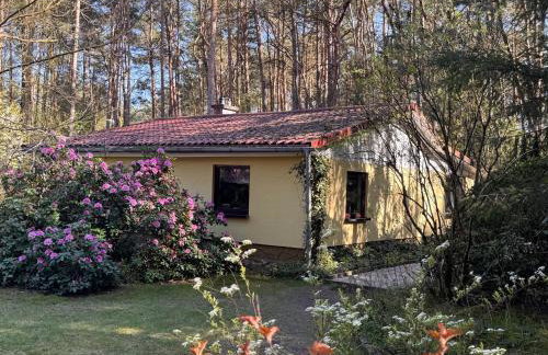 Ferienhaus im Wald - Foto 2