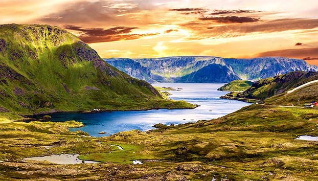 Excursion au Cap Nord pour les croisiéristes - Photo 3