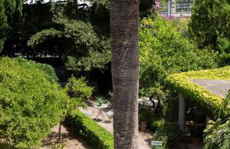 Ca'n Puig de Sòller - Foto 9