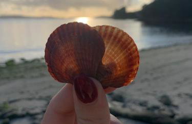 Apartamento Estela - Foto 43