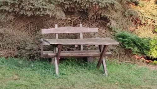 Fischerhaus Warthe - Foto 3