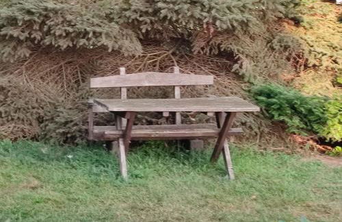 Fischerhaus Warthe - Foto 3