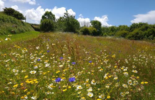 Hallegan Annexe with Private Garden and Woodland-Sofa Bed Only - Foto 23