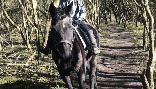 Beautiful 1-bed Secluded Cabin, With bar & Fire - Foto 4, Miscelánea