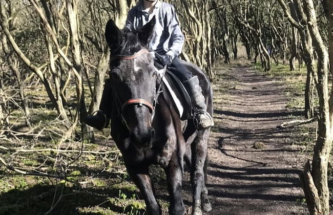 Beautiful 1-bed Secluded Cabin, With bar & Fire - Foto 4