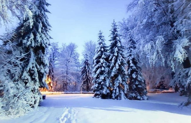 Holiday Home Snow Hill With Swimming Pool - Foto 13