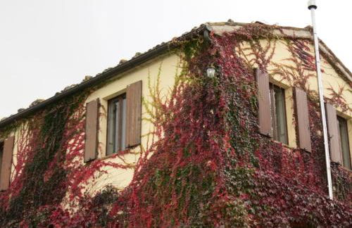 Agriturismo Colle del Lupo - Foto 28