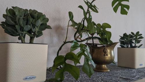 Ferienoase mit Dachterrasse nahe Sankt Leoner See - Foto 3