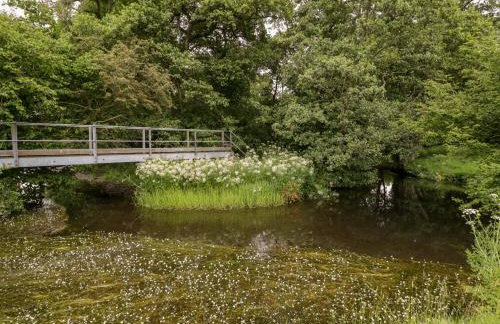 Halls Mill - Foto 43