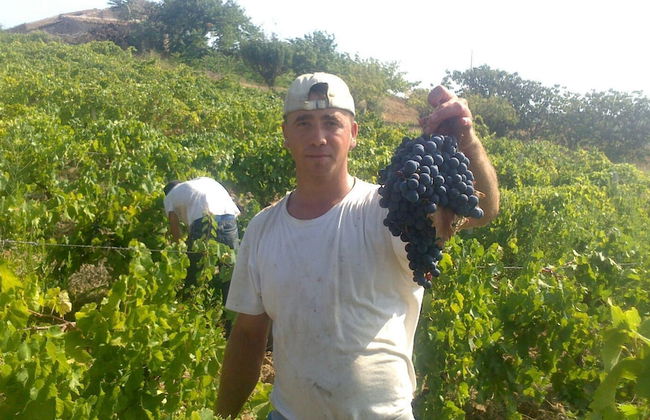 Casa Gelferraro - Foto 15