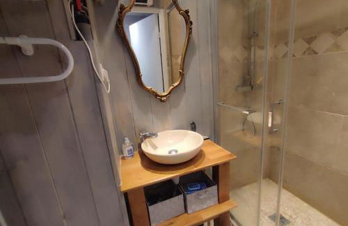 Studio les 2 Alpes au Village 1800m-Commerces et télésiège à 50m-Retour ski au pied - Photo 8