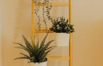 Gerês Thermae Retreat - Foto 40