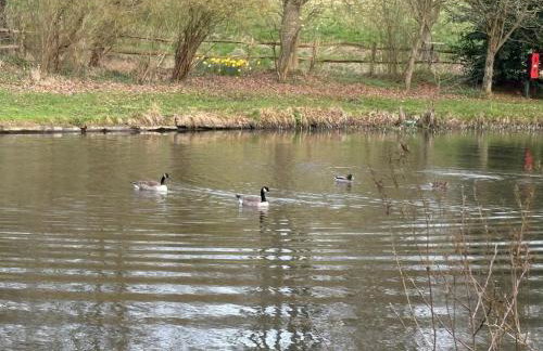 Little Vine Cottage in the grounds of Leeds Castle - Foto 32