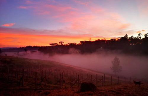 Cabana Suiça - Foto 6