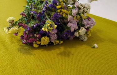 Casa das Japoneiras - Foto 9