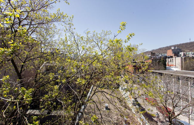 The Milton Apartments - Foto 62