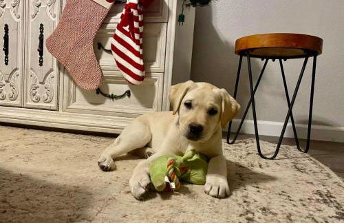 Lighthouse Suite Pet Friendly Hot Tub Sleeps 4 - Foto 15