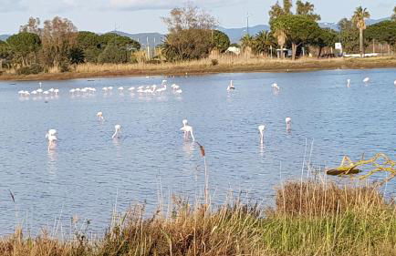 Rez de Jardin T3 recent et calme au Nouvelles Terres à La Londe les Maures - Foto 31