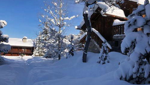 Meribel Altitude1600 chalet 6 personnes en pleine nature au milieu des pistes - Foto 3