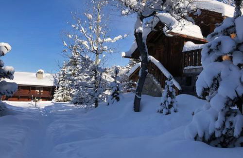 Meribel Altitude1600 chalet 6 personnes en pleine nature au milieu des pistes - Foto 3