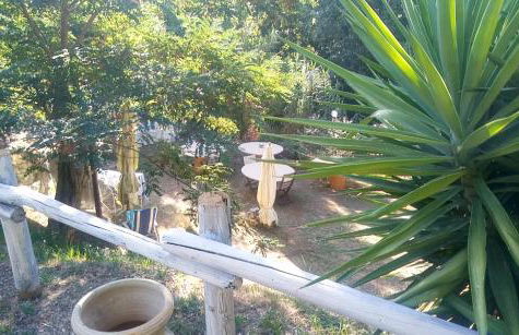 Casolare Toscano - Foto 56