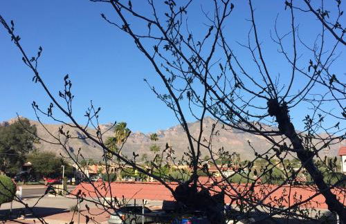 Casas Adobes condo - Foto 30