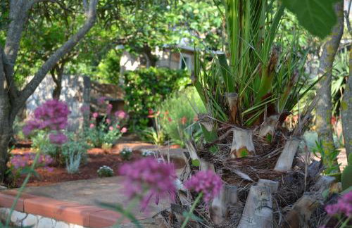 Apartments Basina - Foto 57