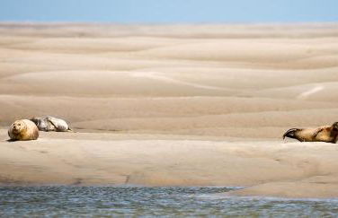 Odyssée gîte sur Péniche - Foto 46