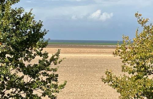 Ferienwohnungostseeblick - Foto 75