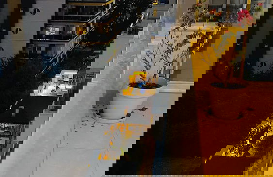 In+Residence - Foto 59