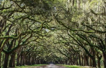 Near Starland & River St - Private Patio & BBQ - Parking - Foto 30