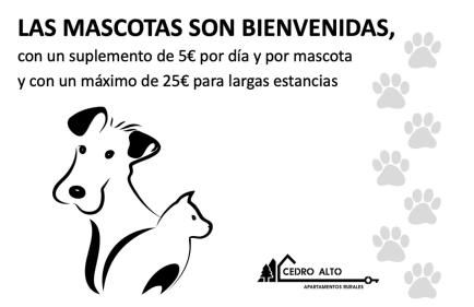 Apartamentos Cedro Alto - Photo 7