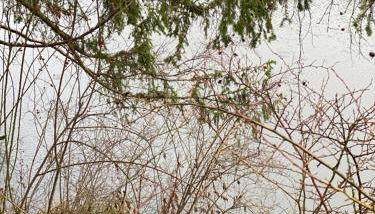 Ferienwohnungen am "Spiel-emagazin" - Photo 3