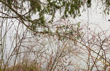 Ferienwohnungen am "Spiel-emagazin" - Foto 3