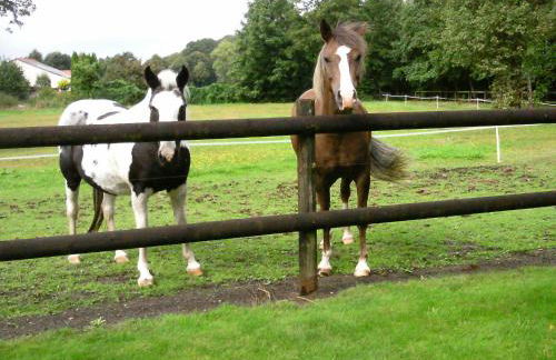 Riggers Hof - Foto 7