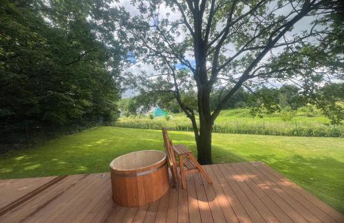 Dom Bernardo - Foto 15