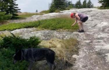 Whispering Waters Farmhouse and Wedding Barn - Foto 33