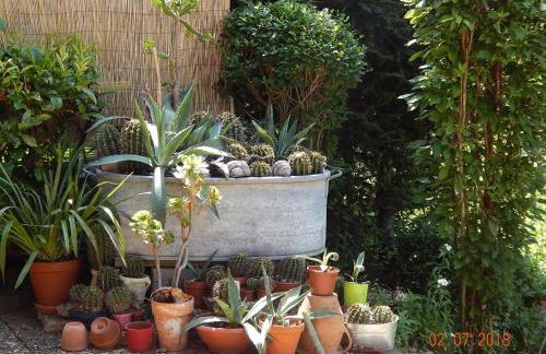 Apartment Haus Wiesental by Interhome - Foto 11