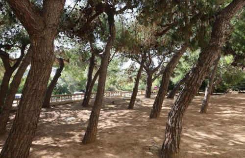 Το σπίτι δίπλα στη θάλασσα / The house by the sea - Foto 16