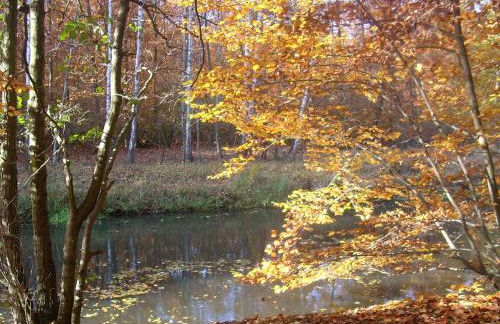 Ferienwohnung Hainbuche Lübben im Spreewald - Foto 37