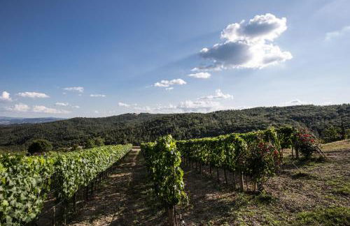 Casa Guaitoli - Foto 53