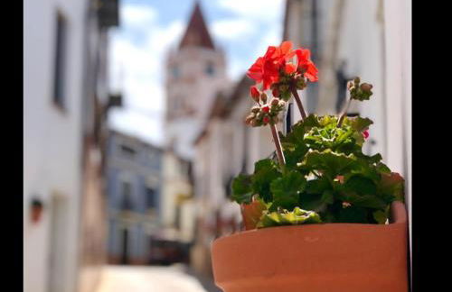 SEÑORÍO de MARÍN piscina climatizada exterior - Foto 35