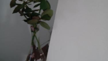 VIVENDA AZUL - Foto 5