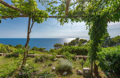 Il Carrubo Capri - Foto 26