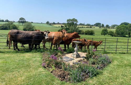 Weatherhead Farm - Foto 19