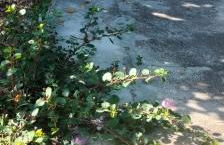 Villa Fontana Angel Home - Foto 18